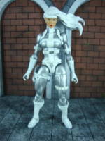 Silver Sable (Marvel Legends) Custom Action Figure