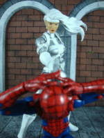 Silver Sable (Marvel Legends) Custom Action Figure