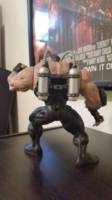 Bane (Batman) Custom Action Figure
