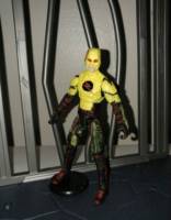 Reverse Flash (CW) (DC Universe) Custom Action Figure