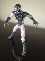 Negative zone Spider-Man (Marvel Legends) Custom Action Figure
