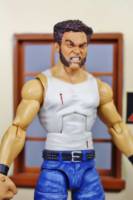 Wolverine (Hugh Jackman) (Wrestling) Custom Action Figure