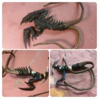 MTG Heart Sliver (Magic The Gathering) Custom Action Figure
