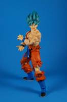 Battle Damaged SSJSSG Goku (S.H. Figuarts) Custom Action Figure