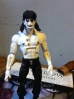The Crow (Crow) Custom Action Figure