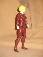 Seven of Nine (Star Trek) Custom Action Figure