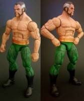 Ra's Al Ghul (DC Universe) Custom Action Figure