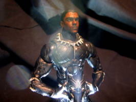 Black Panther (Re-paint) (Marvel Legends) Custom Action Figure