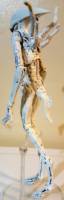 The Neomorph (Aliens) Custom Action Figure