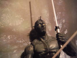 Maulkiller (Star Wars) Custom Action Figure