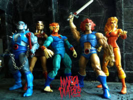 Cheetara v2 (Thundercats) Custom Action Figure