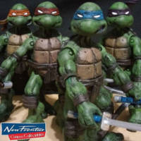 Teenage Mutant Ninja Turtles (Mirage Studios) (Teenage Mutant Ninja Turtles) Custom Action Figure [They're heroes in a half shell and they're green!]