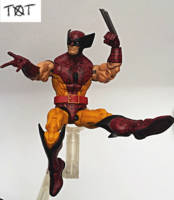 Spiderine / Spider-Wolverine (Marvel Legends) Custom Action Figure