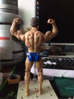 Terminator  Schwarzenegger (Terminator) Custom Action Figure