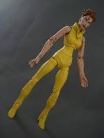 Vixen (DC Universe) Custom Action Figure