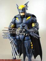 Dark Claw (Crossover) Custom Action Figure