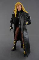Black Canary (DC Universe) Custom Action Figure