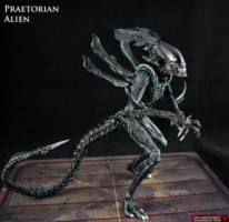 Praetorian Alien Guard (Aliens) Custom Action Figure