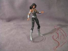 Donna Troy (DC Infinite Heroes) Custom Action Figure