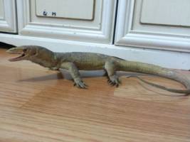 nile monitor (Original) Custom Statue / Bust