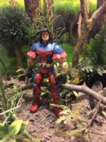 Thunderbird (Marvel Legends: City of Heroes) Custom Action Figure [Thunderbird]
