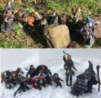 The Fellowship of the Ring (Lord of the Rings) Custom Action Figure