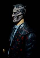 DC universe concept Two Face (DC Universe) Custom Action Figure