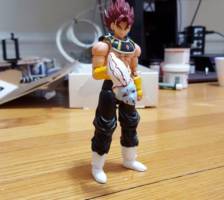 Cassa the Saiyan God of Destruction (Dragonball Z) Custom Action Figure