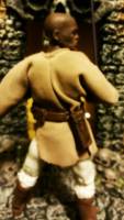 Mace Windu (Star Wars) Custom Action Figure