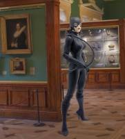 Catwoman (DC Universe) Custom Action Figure