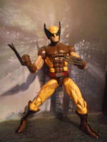 Wolverine (Marvel Legends) Custom Action Figure
