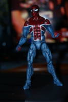 Spider-UK (Marvel Legends) Custom Action Figure