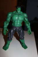 Hulk (S.H. Figuarts) Custom Action Figure