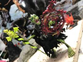 Iginraz / Goblin, Maglubiyet Shaman (Forgotten Realms of Fantasy) Custom Action Figure