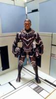 Black Panther (Marvel Civil War) Custom Action Figure