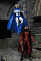 Snowbird - Alpha Flight (Marvel Legends) Custom Action Figure [Snowbird and Nemisis]
