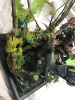 Qulu'an On the hunt / Black Marshes (Dungeons and Dragons) Custom Action Figure