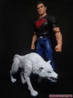 Superboy and Wolf (Young Justice) Custom Action Figure [Superboy and Wolf custom action figures 2]