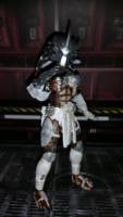 Female Enforcer Predator (Predator) Custom Action Figure