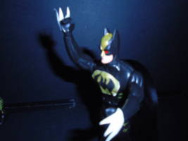 Pool-verine and Dark Claw (Amalgam) Custom Action Figure