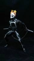 Ghost Rider (Robbie Reyes) (Marvel Legends) Custom Action Figure