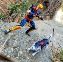Galford & Poppy (Samurai Shodown) Custom Action Figure