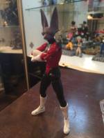 Dyspo Dragon ball Super (Dragonball Z) Custom Action Figure