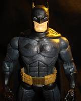 Batman: Watchful Protector (Batman) Custom Action Figure
