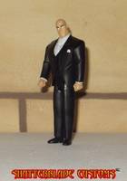 Lex Luthor (Batman - New Animated Series) Custom Action Figure