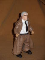 Lord Emp (Wildcats) Custom Action Figure
