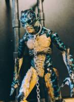 Amphibian Man (The Shape of Water) (Creatures) Custom Action Figure