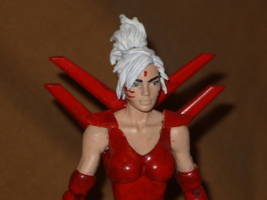 Zealot (Wildcats) Custom Action Figure