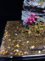 Flowers Blooming in a Barrel (Original) Custom Diorama / Playset