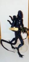 Jeri (Aliens: Stronghold) (Aliens) Custom Action Figure